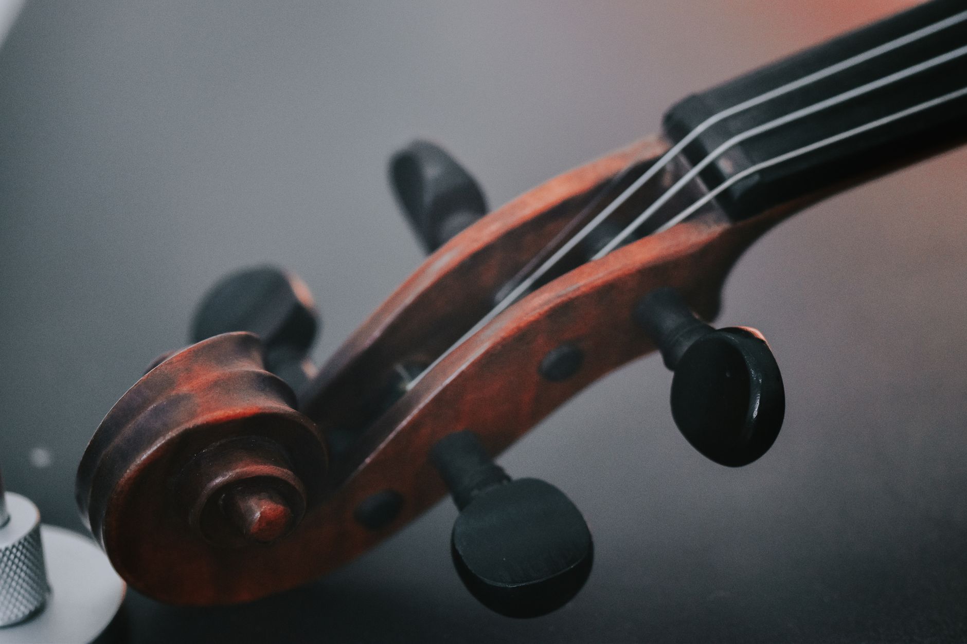 Maîtriser les bases avant d'accorder votre violon — processus d'accordage du violon en gros plan