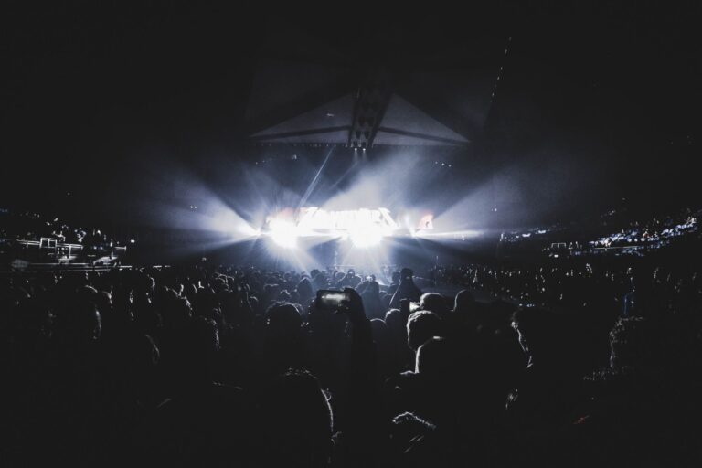 Concerts 24h du Mans 2025 — public en concert acclamant